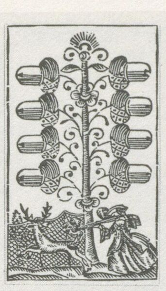 Datei:SPKW-Q29878-bnm-scan-s049r-z01s07-dt-eichel-8.jpg