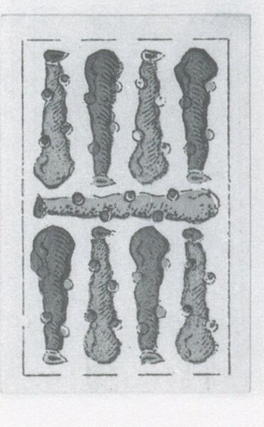 Datei:SPKW-Q3685-t091-pic 2026-09-12 163814-r-z4-s4-es-stab-9.jpg