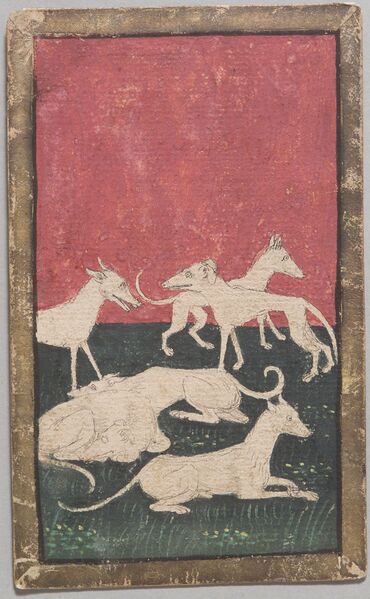 Datei:SPKW-Q12912-36-hunde-sechs-einzelkarte.jpg