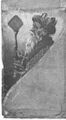 Thumbnail for version as of 05:19, 20 September 2026