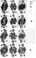 Thumbnail for version as of 03:47, 25 September 2026