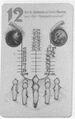 Thumbnail for version as of 03:10, 20 September 2026