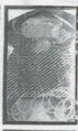 Thumbnail for version as of 09:01, 24 September 2026