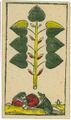 Thumbnail for version as of 17:24, 31 August 2026