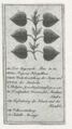 Thumbnail for version as of 15:27, 27 September 2026