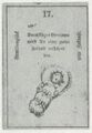 Thumbnail for version as of 20:41, 27 September 2026