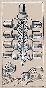 Acorns-9 (German)