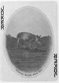 Thumbnail for version as of 10:22, 20 September 2026