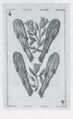 Thumbnail for version as of 15:06, 23 September 2026