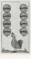 Thumbnail for version as of 18:09, 27 September 2026