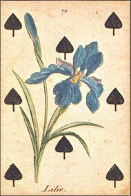 Spades-8 (French)