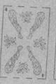 Thumbnail for version as of 08:48, 20 September 2026