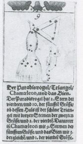 Acorns-9 (German)