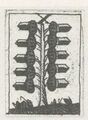 Thumbnail for version as of 17:48, 27 September 2026