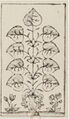 Thumbnail for version as of 08:29, 31 August 2026