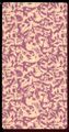 Thumbnail for version as of 08:21, 31 August 2026