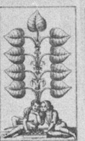 Leaves-9 (German)