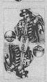 Thumbnail for version as of 06:07, 20 September 2026