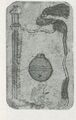 Thumbnail for version as of 16:38, 27 September 2026