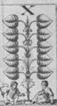 Thumbnail for version as of 05:27, 20 September 2026