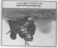 Thumbnail for version as of 03:14, 20 September 2026