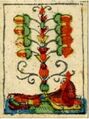 Thumbnail for version as of 08:44, 31 August 2026