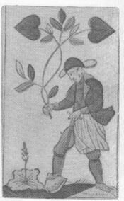 Leaves-Ace (German)