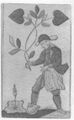 Thumbnail for version as of 18:16, 19 September 2026