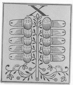 Acorns-10 (German)