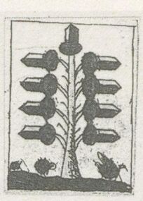 Acorns-9 (German)