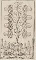 Thumbnail for version as of 08:29, 31 August 2026