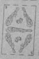 Thumbnail for version as of 08:49, 20 September 2026