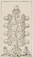 Thumbnail for version as of 08:29, 31 August 2026