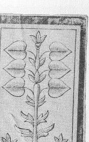 Leaves-6 (German)