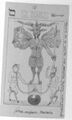 Thumbnail for version as of 22:48, 19 September 2026