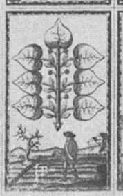 Leaves-7 (German)
