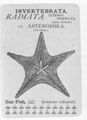 Thumbnail for version as of 09:56, 20 September 2026
