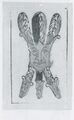 Thumbnail for version as of 15:16, 23 September 2026