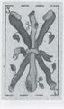 Thumbnail for version as of 14:48, 23 September 2026