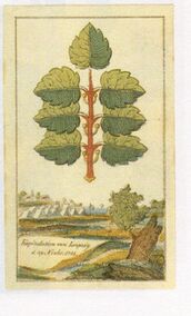 Leaves-7 (German)