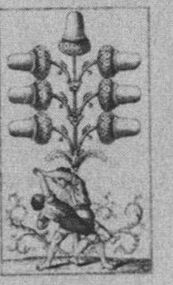 Acorns-7 (German)
