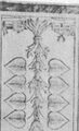 Thumbnail for version as of 19:15, 19 September 2026