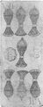 Thumbnail for version as of 08:26, 31 August 2026
