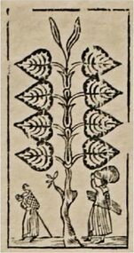 Leaves-8 (German)