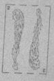 Thumbnail for version as of 08:49, 20 September 2026