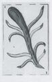 Thumbnail for version as of 15:05, 23 September 2026