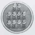 Thumbnail for version as of 12:14, 24 September 2026
