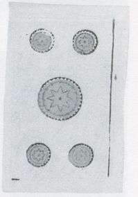 Coins-5 (Spanish)