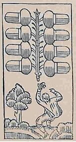 Acorns-8 (German)
