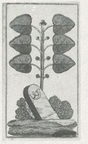 Leaves-6 (German)